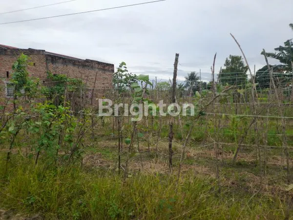 image SEBIDANG TANAH DI PASAR 7 TEMBUNG HARGA RP. 160.000.000 (3)