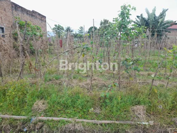 image SEBIDANG TANAH DI PASAR 7 TEMBUNG HARGA RP. 160.000.000 (2)