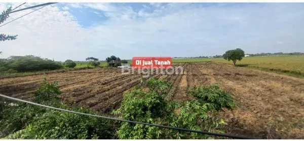 image DIJUAL LAHAN KOSONG PINGGIR JALAN RAYA BABELAN BEKASI (2)