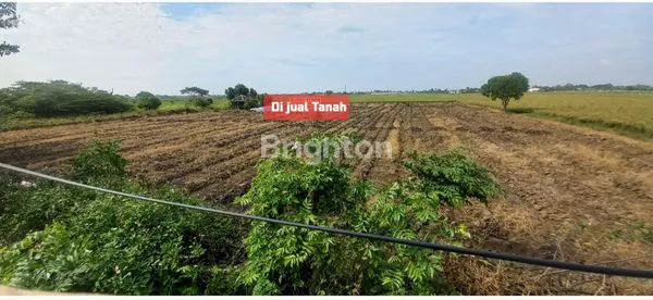 image DIJUAL LAHAN KOSONG PINGGIR JALAN RAYA BABELAN BEKASI (3)