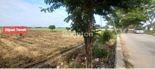 image DIJUAL LAHAN KOSONG PINGGIR JALAN RAYA BABELAN BEKASI (4)