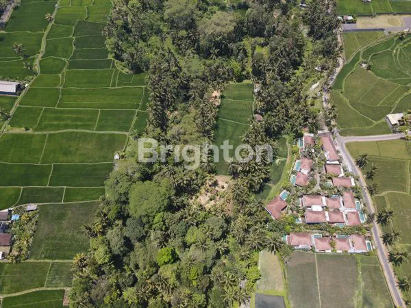 image DIJUAL TANAH UBUD GIANYAR (2)