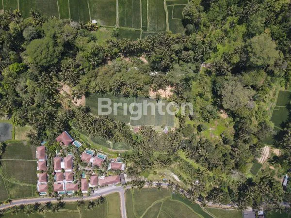 image DIJUAL TANAH UBUD GIANYAR (1)