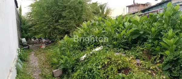 image DISEWAKAN TANAH DI JALAN DEWI SRI LUAS 6,2 ARE  (1)