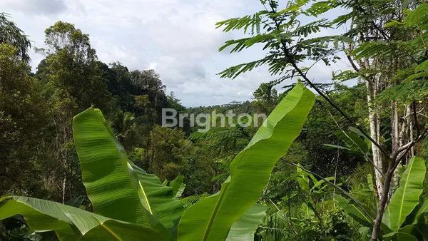 image DIJUAL TANAH GIANYAR UBUD (3)