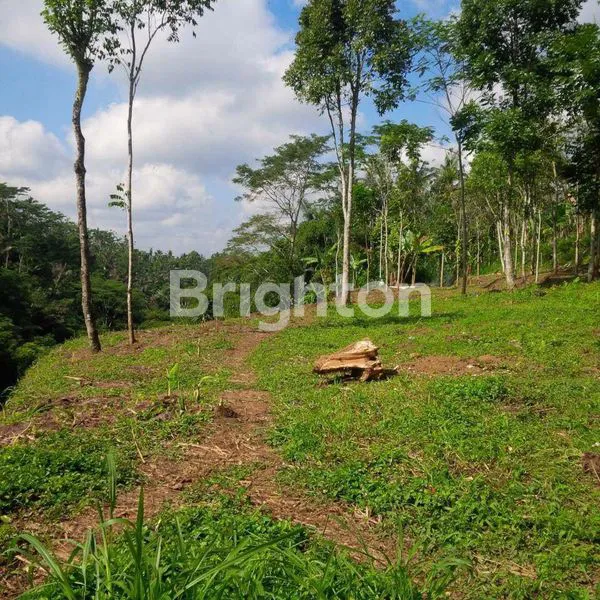 image DIJUAL TANAH GIANYAR UBUD (4)