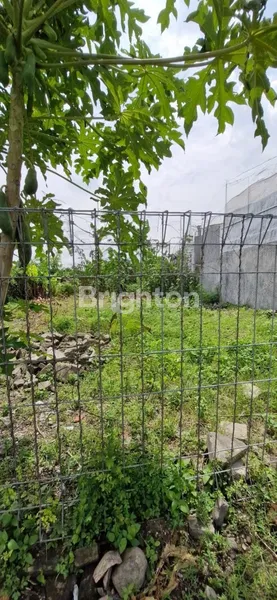 image JUAL TANAH  (1)