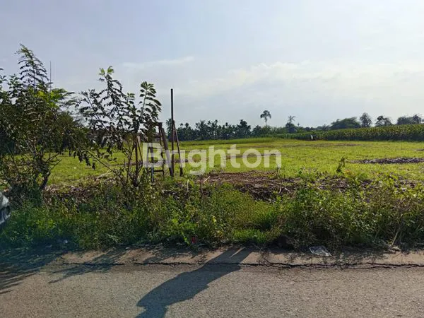 image JUAL TANAH CEPAT (3)