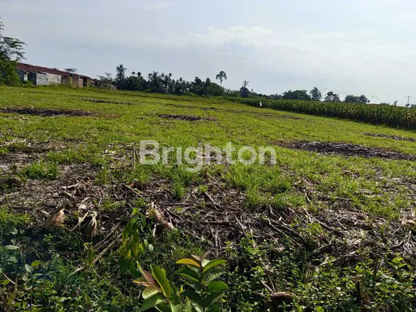 image JUAL TANAH CEPAT (5)