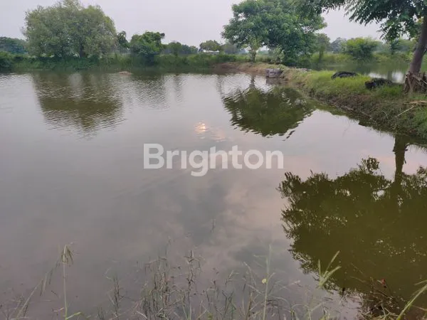 image DIJUAL TAMBAK AKTIF POTENSIAL 86.535M² (4)