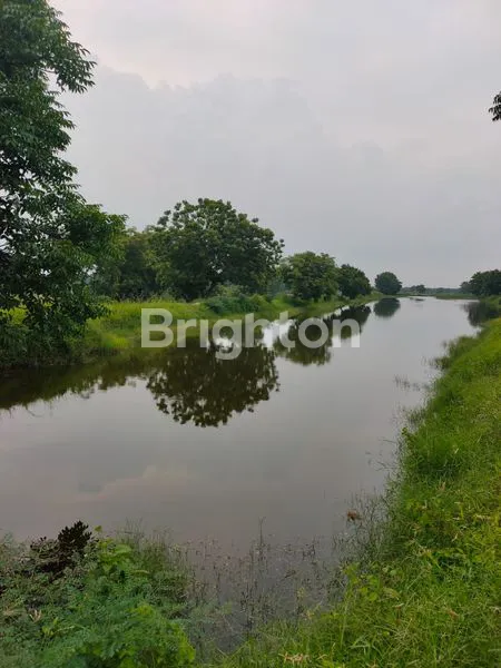 image DIJUAL TAMBAK AKTIF POTENSIAL 86.535M² (3)