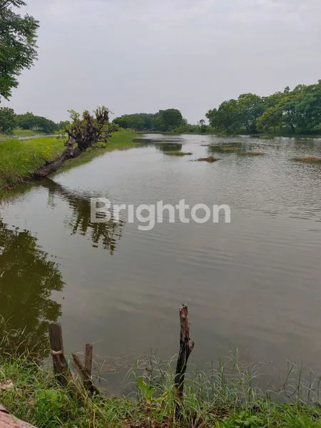 image DIJUAL TAMBAK AKTIF POTENSIAL 86.535M² (2)