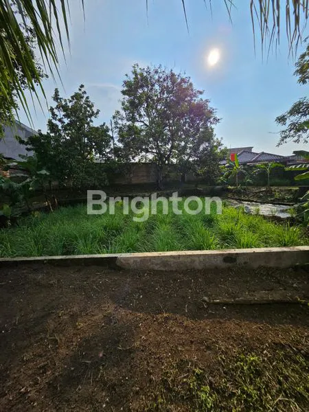 image TANAH PREMIUM MURAH DEKAT KAMPUS  IPB DRAMAGA (2)