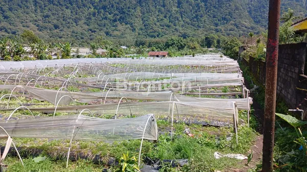 image INVESTASI PREMIUM: LAHAN STRATEGIS 1,23 HA DI JALUR UTAMA PANCASARI, BULELENG (1)