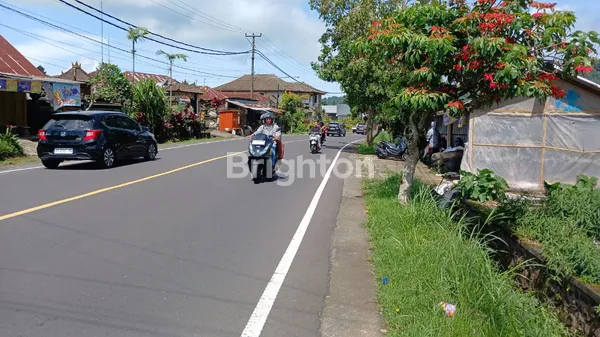 image INVESTASI PREMIUM: LAHAN STRATEGIS 1,23 HA DI JALUR UTAMA PANCASARI, BULELENG (3)
