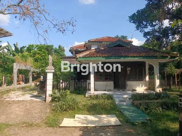 image TANAH KEBUN EMPANG - GRATIS RUMAH TUA DI BOGOR (1)