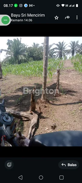 image TANAH LUAS 14.790M² DI SUNGGAL, STRATEGIS DEKAT SEKOLAH (1)