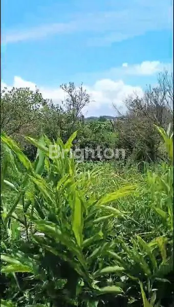 image INVESTASI TANAH DENGAN PEMANDANGAN ASRI DI BATU  (2)