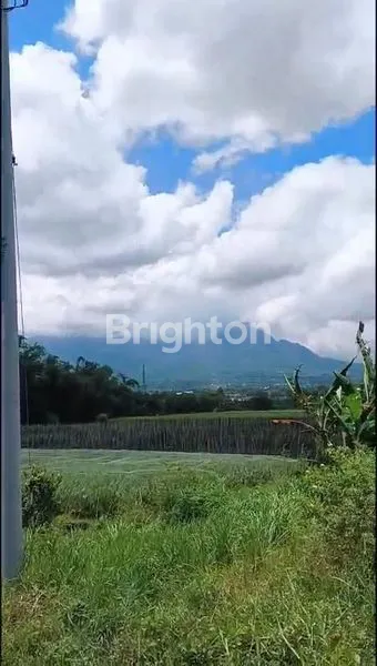 image INVESTASI TANAH DENGAN PEMANDANGAN ASRI DI BATU  (1)