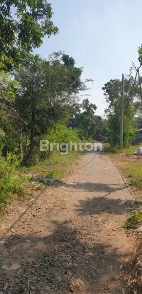 image TANAH BANJAR TANGGUL MOJOKERTO LAHAN DATAR TIDAK PERLU DIURUK (1)