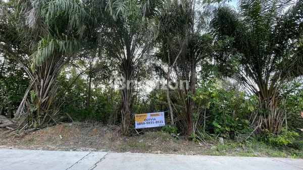 image TANAH DAN DERMAGA (7)