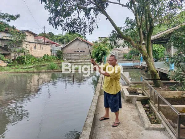 image RUMAH DENGAN KEBUN, EMPANG IKAN, KANDANG AYAM -  STRATEGIS SAMPING TAMAN YASMIN BOGOR (4)