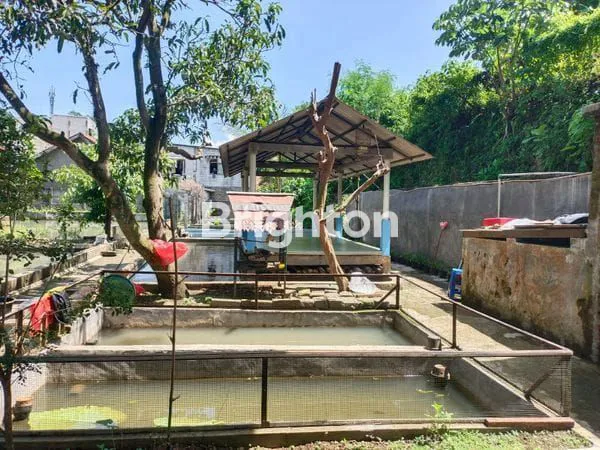 image RUMAH DENGAN KEBUN, EMPANG IKAN, KANDANG AYAM -  STRATEGIS SAMPING TAMAN YASMIN BOGOR (3)