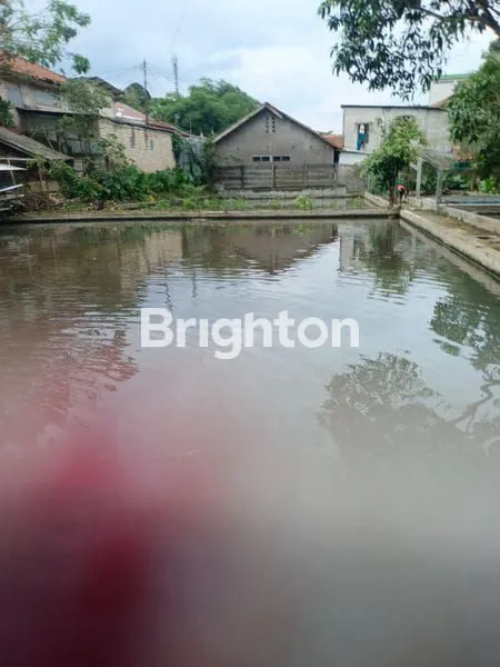 image RUMAH DENGAN KEBUN, EMPANG IKAN, KANDANG AYAM -  STRATEGIS SAMPING TAMAN YASMIN BOGOR (1)