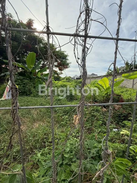 image TANAH LUAS DI LEGIAN (5)