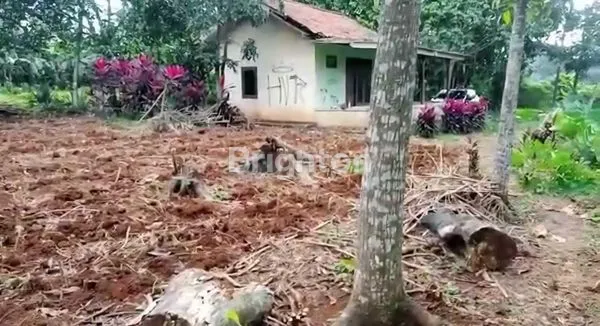 image TANAH DIJUAL DI PARUNG, BOGOR LT: 2650M2 (2)