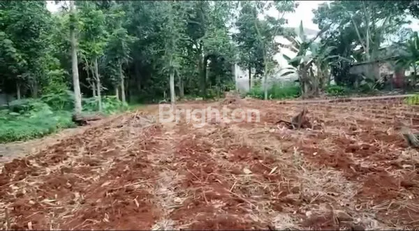 image TANAH DIJUAL DI PARUNG, BOGOR LT: 2650M2 (6)