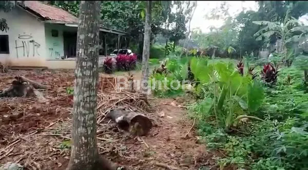 image TANAH DIJUAL DI PARUNG, BOGOR LT: 2650M2 (3)