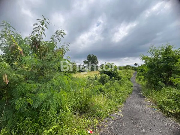 image LAND FOR SALE – PANTAI MUNGGU (2)