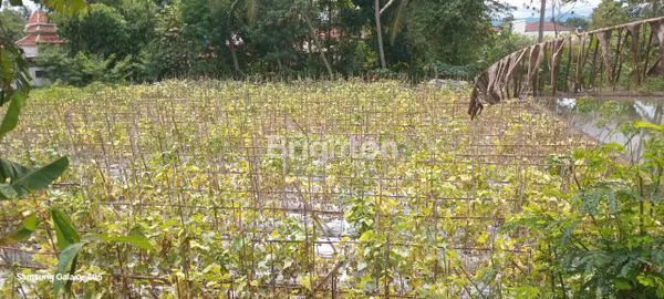 image TANAH LUAS 1200M² DI CICADAS CIANJUR, COCOK UNTUK KAVLING (1)