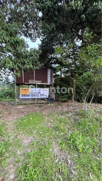 image TANAH DIJUAL (4)