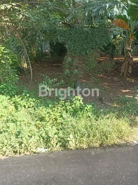 image DI JUAL TANAH STRATEGIS DENGAN LUAS DELAPAN RATUS METER PINGGIR JALAN RAYA LOKASI BANTAR GEBANG (1)