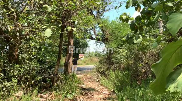 image TANAH STRATEGIS 002 NOL JALAN RAYA (2)