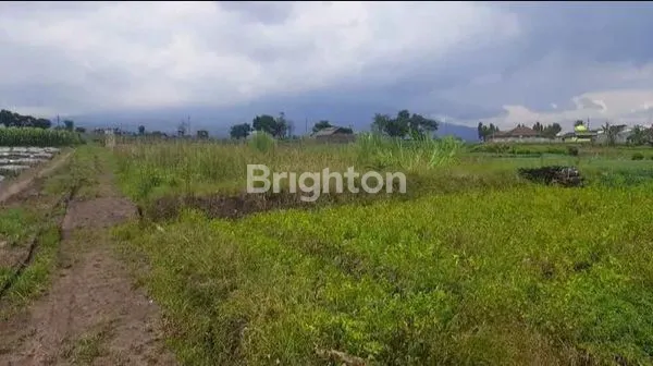 image TANAH STRATEGIS JUNREJO BATU, DEKAT SINGHASARI RESORT (3)