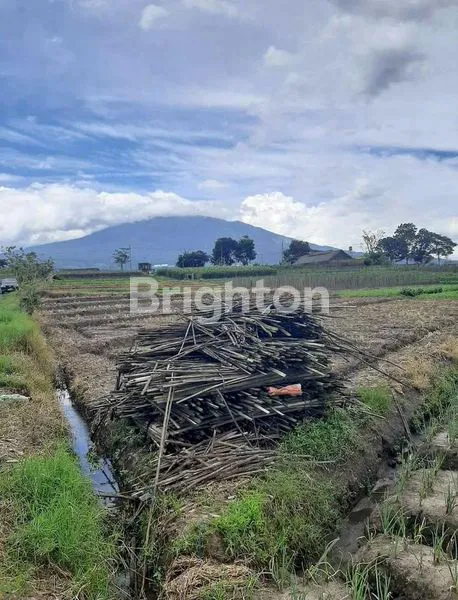 image TANAH STRATEGIS JUNREJO BATU, DEKAT SINGHASARI RESORT (5)