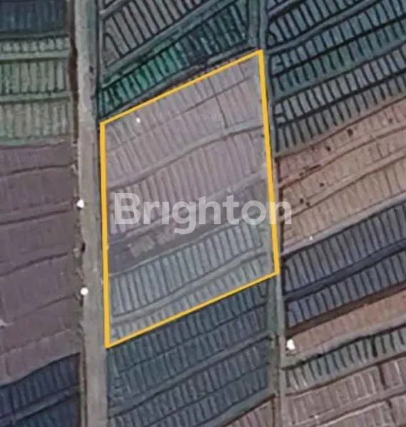 image TANAH STRATEGIS JUNREJO BATU, DEKAT SINGHASARI RESORT (4)