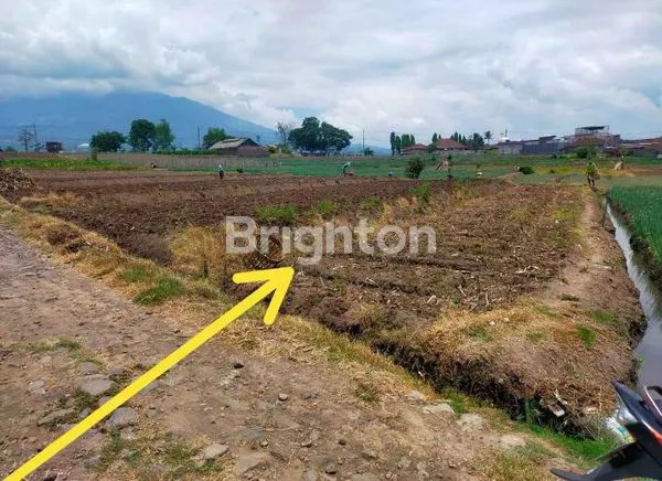 image TANAH STRATEGIS JUNREJO BATU, DEKAT SINGHASARI RESORT (1)