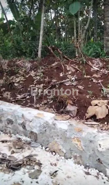 image DIJUAL CEPAT TANAH PEKARANGAN 752 M² – GEDONG TATAAN, PESAWARAN (3)