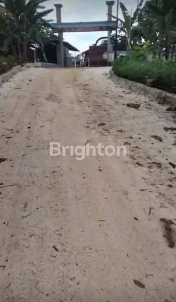 image DIJUAL CEPAT TANAH PEKARANGAN 752 M² – GEDONG TATAAN, PESAWARAN (5)