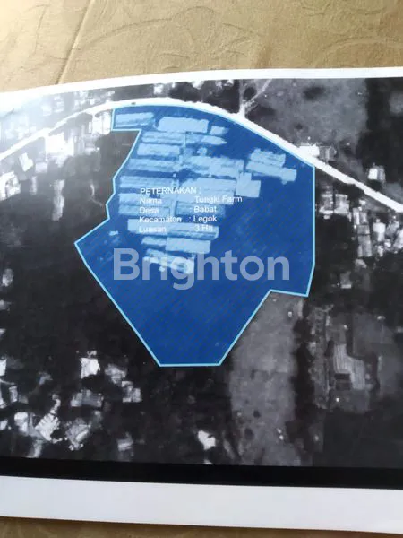 image DI JUAL TANAH  (1)