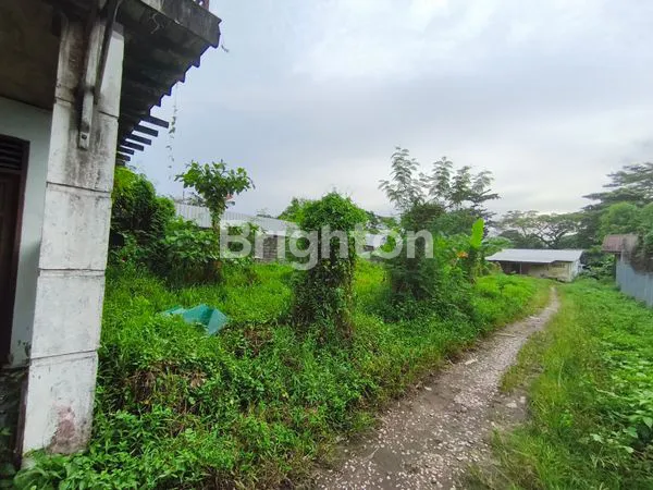 image GUDANG DI MULAWARMAN  (7)