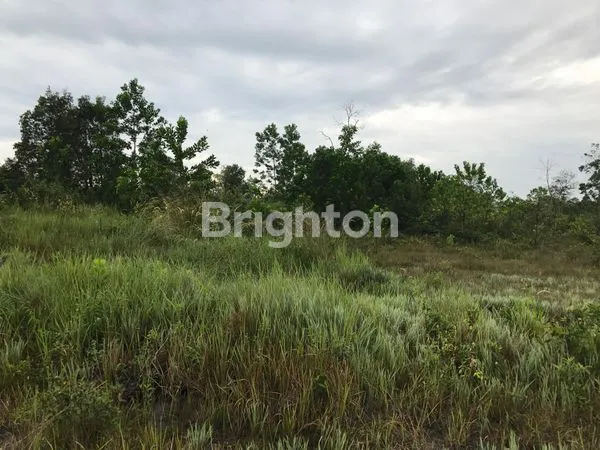 image DIJUAL TANAH SIAP BANGUN BANJARMASIN  (4)