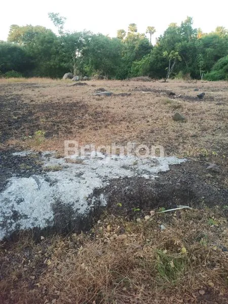 image TANAH UNTUK VILLA TOURISM AREA (3)