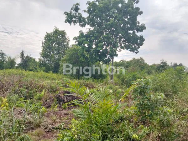 image LAHAN STRATEGIS 3 HEKTAR DI JL RIAU, DEKAT PERGUDANGAN (1)