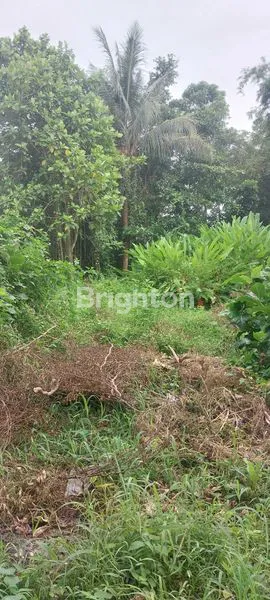 image LAHAN 180M² STRATEGIS, DEKAT ROXY & FASILITAS PENDIDIKAN (4)