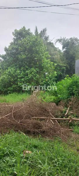 image LAHAN 180M² STRATEGIS, DEKAT ROXY & FASILITAS PENDIDIKAN (5)